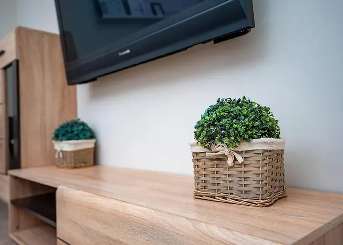 公寓 Huge Stylish Monroe 1 / Centre 普罗夫迪夫