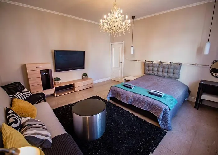 Huge Stylish Monroe 1 / Centre 公寓